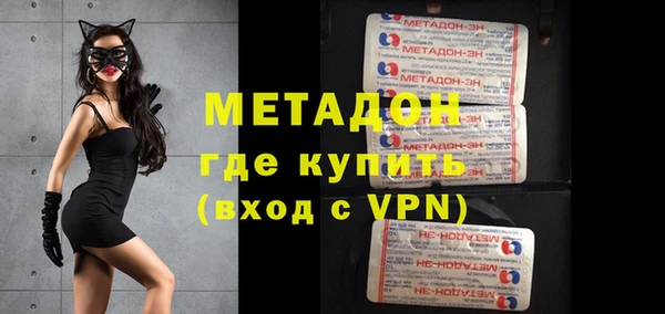 хмурый Аркадак