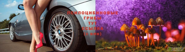 прущая мука Армянск