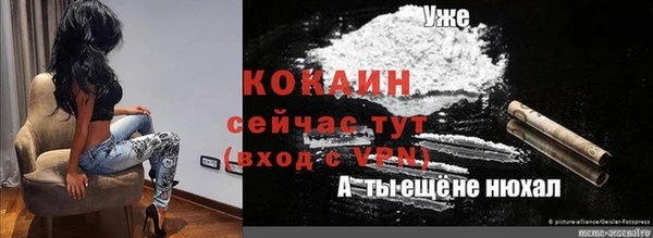 хмурый Аркадак