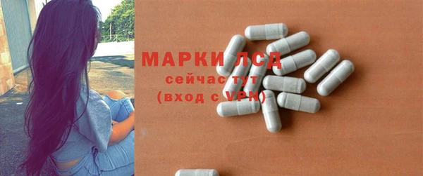 хмурый Аркадак