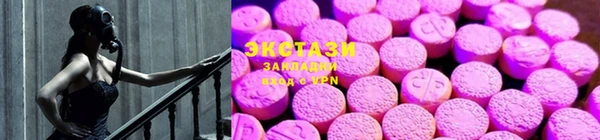 хмурый Аркадак