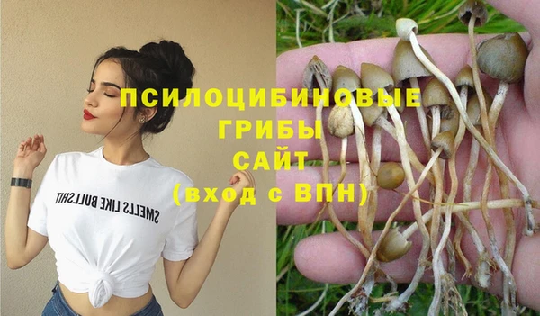 мескалин Арсеньев