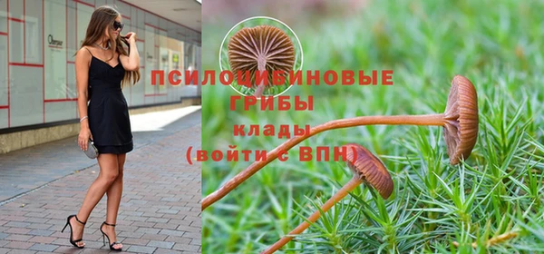 прущая мука Армянск