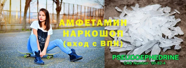 хмурый Аркадак