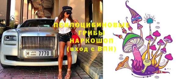хмурый Аркадак