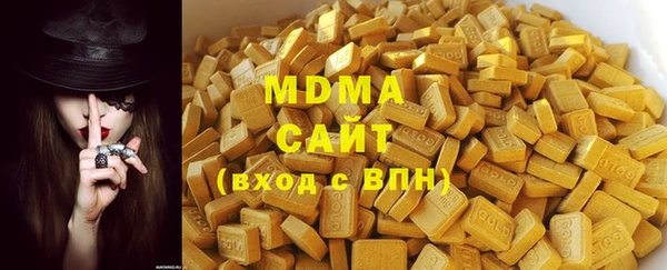 хмурый Аркадак