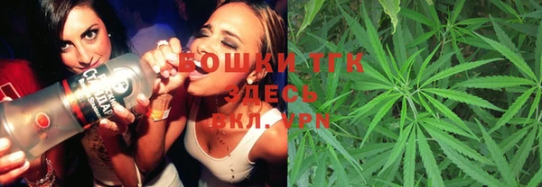 хмурый Аркадак