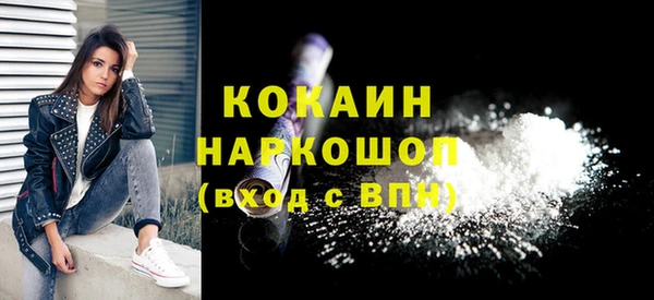 хмурый Аркадак