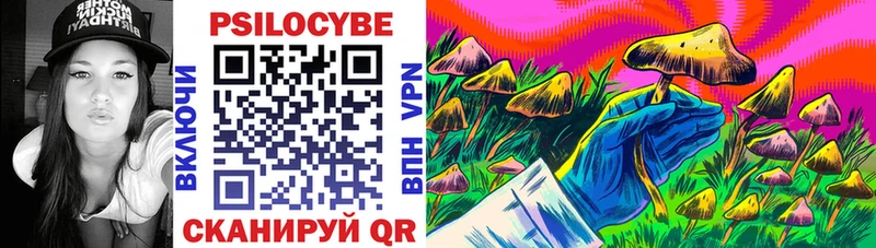 блэк спрут вход  купить   Петухово  Псилоцибиновые грибы Cubensis 