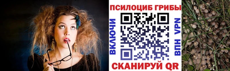 Галлюциногенные грибы Magic Shrooms Петухово